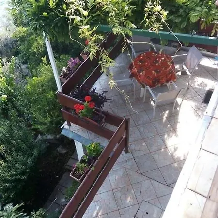 Apartment Branka - At The