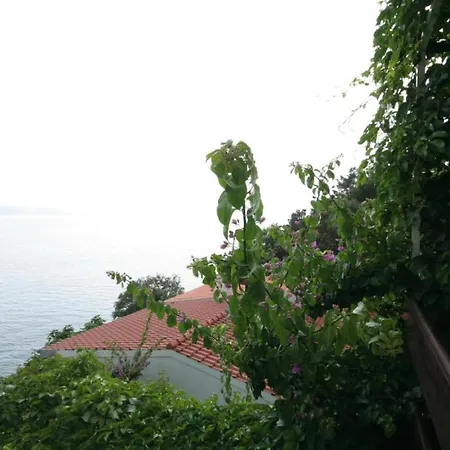 Apartment Branka - At The