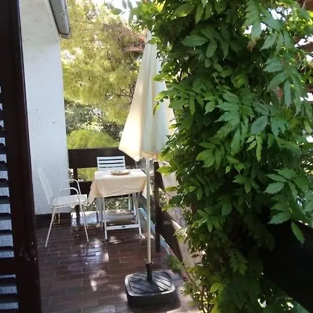 Apartment Branka - At The Stanici